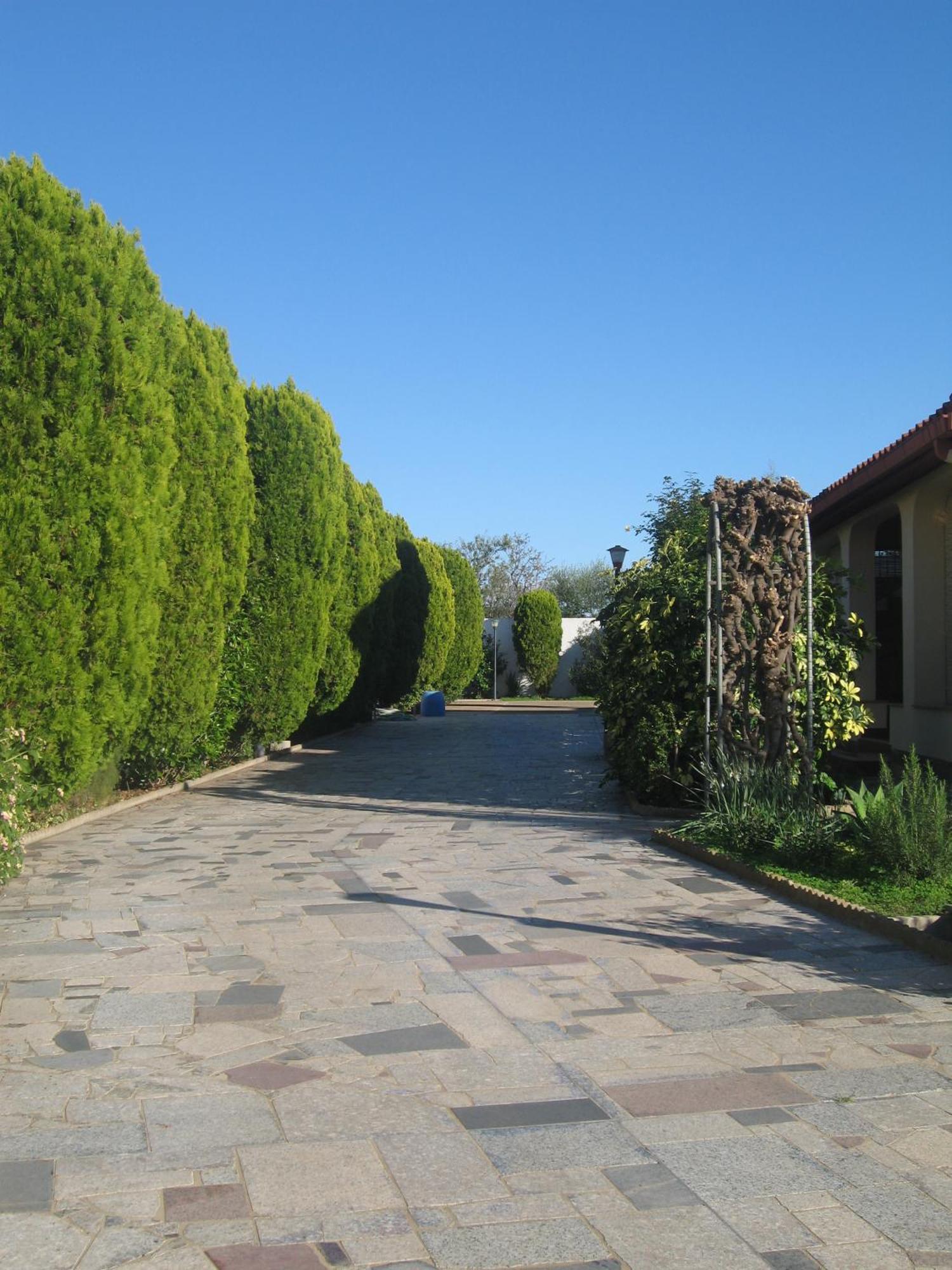 Villa Primavera Villa San Pietro Exterior foto